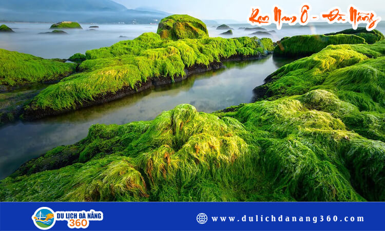 Rạn Nam Ô Đà Nẵng